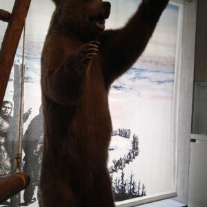 Naturhistorisches Museum