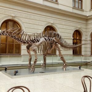 Dinoskelett im Nationalmuseum
