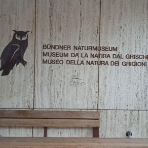 Bündner Naturmuseum