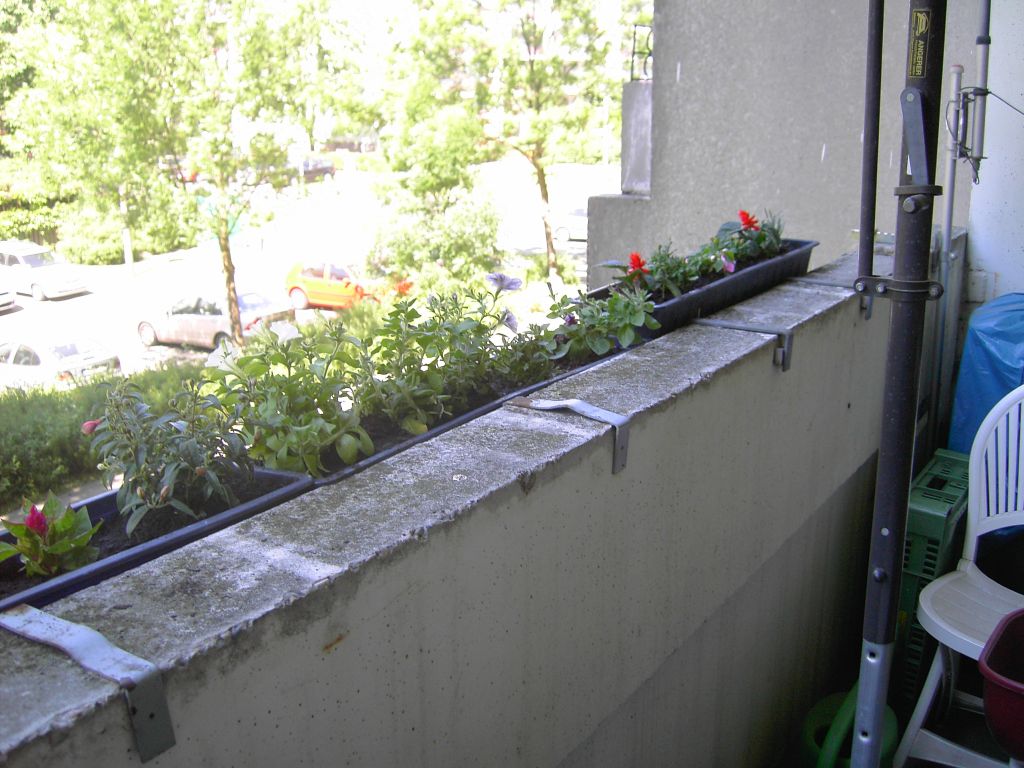 Balkonpflanzen